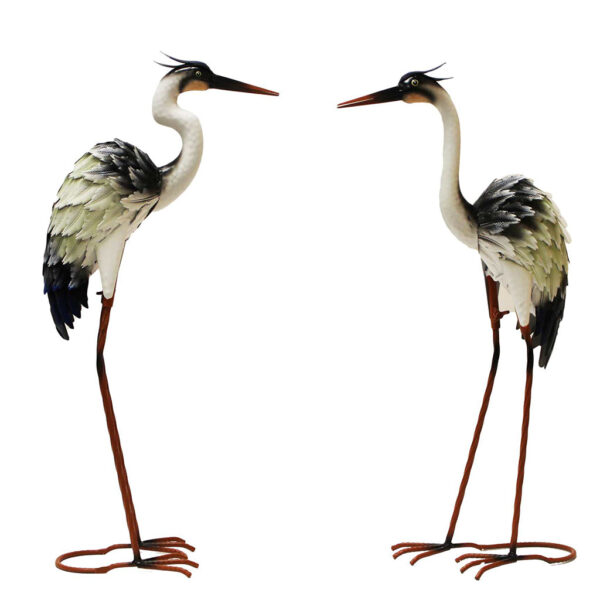 G5517-1024-1024-01_7e7b17dd-8520-44d4-bbb6-c57bcaa329ef.jpg Standing Black & White Egret