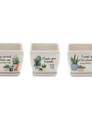 Witty Square Planter 4In
