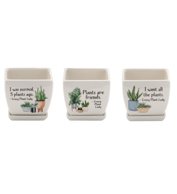 H0998-1024-1024-01_4a093566-8b88-46b0-bae3-d9cb5fc14388.jpg Witty Square Planter 4In