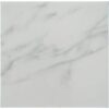 Asian Statuary (Oriental White) Marble 18x18 Honed Tile
