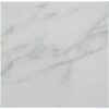 Asian Statuary (Oriental White) Marble 18x18 Polished Tile